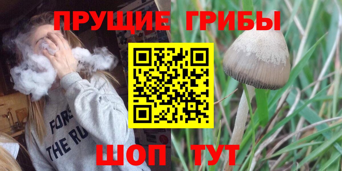 Курган  Галлюциногенные грибы ЛСД  Вход с VPN  Псилоцибиновые грибы ЛСД 
