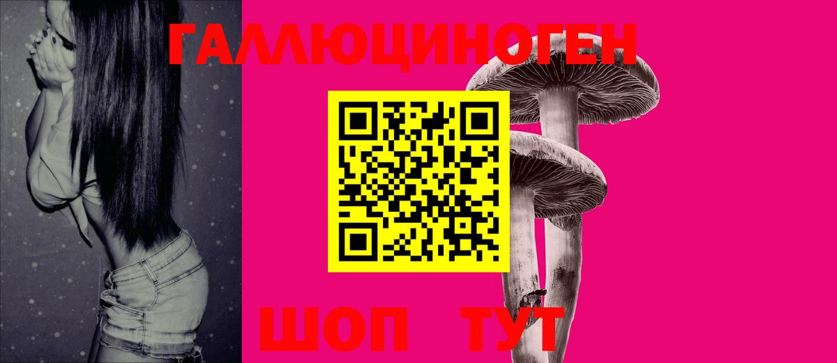Галлюциногенные грибы Psilocybine cubensis Курган
